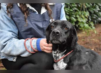 Giodith - Der Traum von einem eigenen Menschen soll wahr werden.