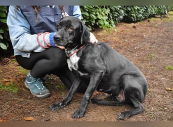 Giodith - Der Traum von einem eigenen Menschen soll wahr werden.