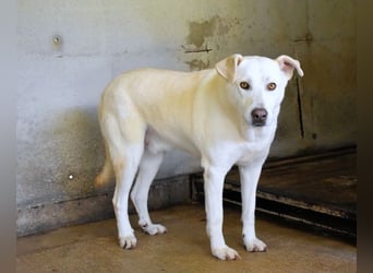 Luken - Zwei Seelen. Zwei Geschichten. Ein Ziel.