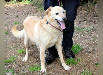 Dario - Warum eigentlich nicht ich?