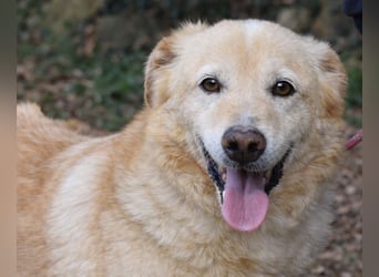 Dario - Warum eigentlich nicht ich?