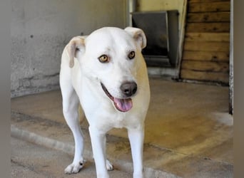 Luken - Zwei Seelen. Zwei Geschichten. Ein Ziel.