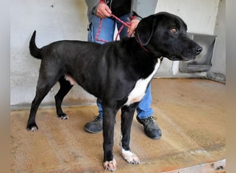 Norgen - Der überfällige Eintrag