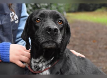 Giodith - Der Traum von einem eigenen Menschen soll wahr werden.