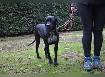 Giodith - Der Traum von einem eigenen Menschen soll wahr werden.