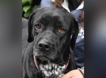 Giodith - Der Traum von einem eigenen Menschen soll wahr werden.