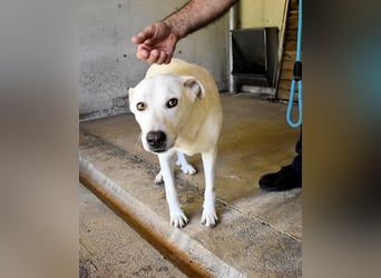 Luken - Zwei Seelen. Zwei Geschichten. Ein Ziel.