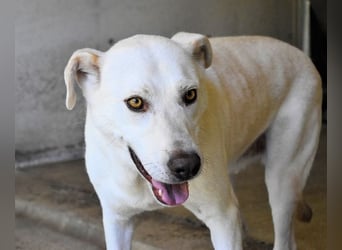 Luken - Zwei Seelen. Zwei Geschichten. Ein Ziel.