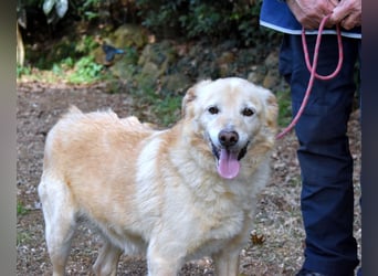 Dario - Warum eigentlich nicht ich?