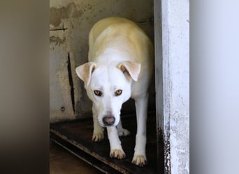 Luken - Zwei Seelen. Zwei Geschichten. Ein Ziel.