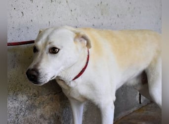 Luken - Zwei Seelen. Zwei Geschichten. Ein Ziel.