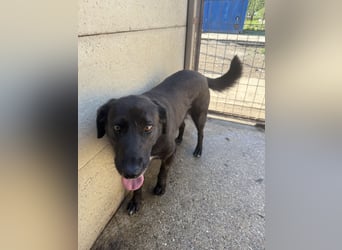 Lea sucht Spielgefährte