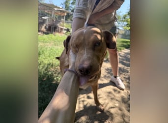 Jack sucht ein warmes Zuhause