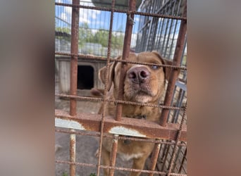 Jack träumt von einem eigenen Zuhause