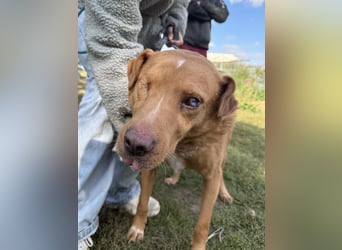 Jack - ein ganz besonderer Schatz braucht genau dich