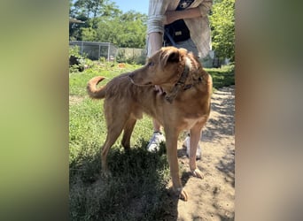 Jack - ein ganz besonderer Schatz braucht genau dich