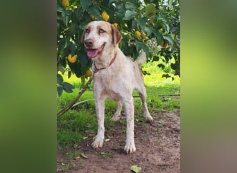 Luna, hat ihre Bezugsperson verloren