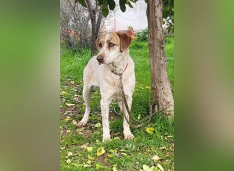 Luna, hat ihre Bezugsperson verloren