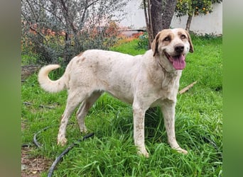 Luna, hat ihre Bezugsperson verloren