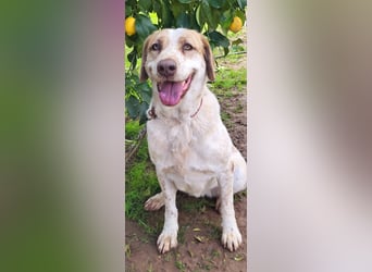 Luna, hat ihre Bezugsperson verloren