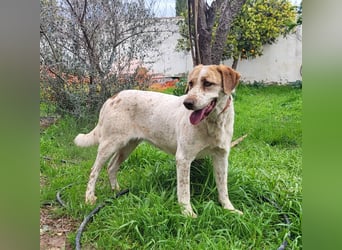 Luna, hat ihre Bezugsperson verloren