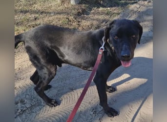 Talpas KK Raus aus dem Heim rein ins Herz