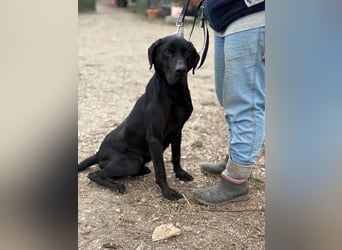 Talpas KK Raus aus dem Heim rein ins Herz