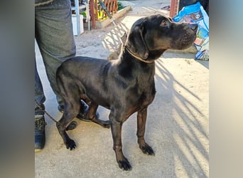 Talpas KK Raus aus dem Heim rein ins Herz