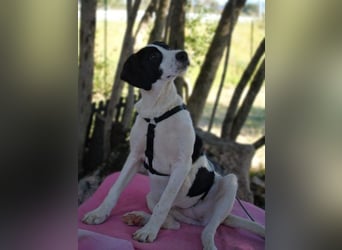 Alice- mit einem Lächeln ins Wunderland