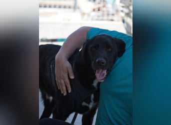 Dibala - ein Herz aus purem Gold