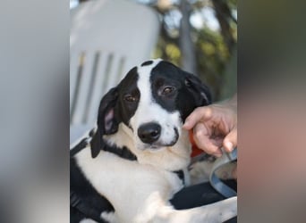 Alice- mit einem Lächeln ins Wunderland