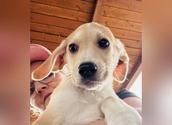 Yvonne - Wo ist meine Familie? Ich bin bereit!