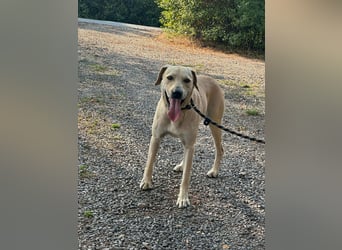 Max, geb. 06.2024, 55cm sucht sein Zuhause