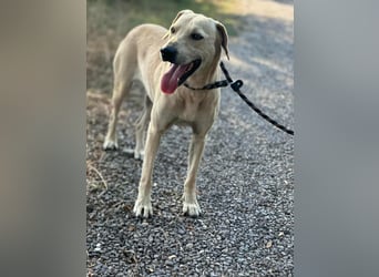 Max, geb. 06.2024, 55cm sucht sein Zuhause