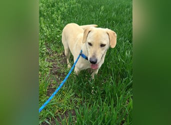 Max, geb. 06.2024, 55cm sucht sein Zuhause
