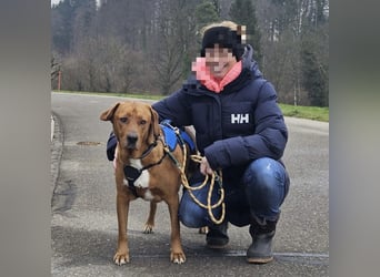 Medo das tollste Wesen auf dem Planeten