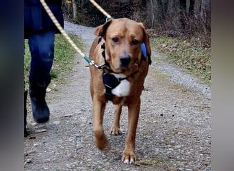 Medo das tollste Wesen auf dem Planeten