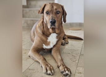 Medo das tollste Wesen auf dem Planeten