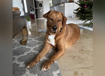 Medo das tollste Wesen auf dem Planeten