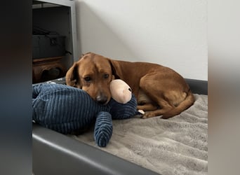 Medo das tollste Wesen auf dem Planeten