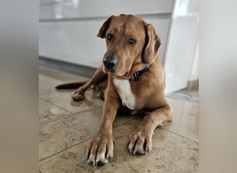 Medo das tollste Wesen auf dem Planeten