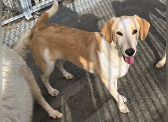 Trilly: ein Schatz für die ganze Familie