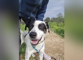 Diddo:  verschmuster Schatz hatte eine Familie