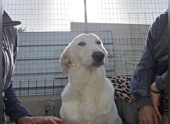 Teo: unkompliziert, freundlich, sozial