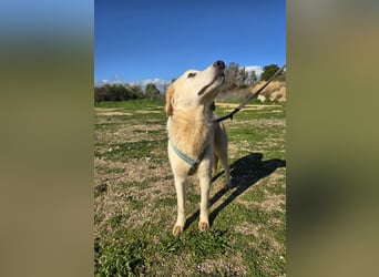 Nala: sie ruht in sich