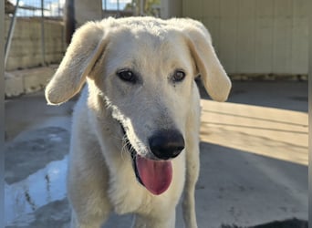 Teo: unkompliziert, freundlich, sozial