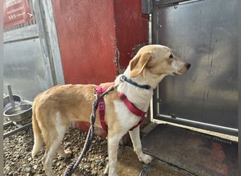 Trilly: ein Schatz für die ganze Familie