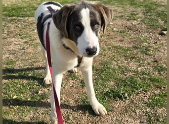 Carlo: was will man mehr?