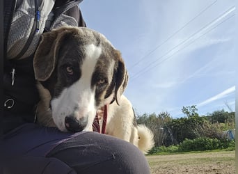 Carlo: was will man mehr?