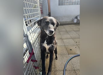 Ena: nur einmal Liebe spüren...